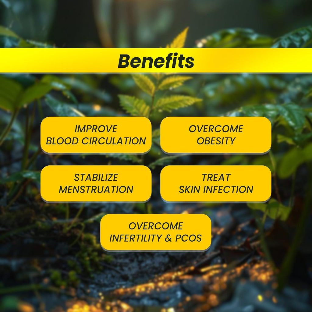 MARLSiGN | CHERUTHEN | Kerala Organic Stingless Honey From Western Ghats | Sourced From Wild Small Medicinal Plants | Mother Medicine | Small Bees| Pure Honey | (100g)