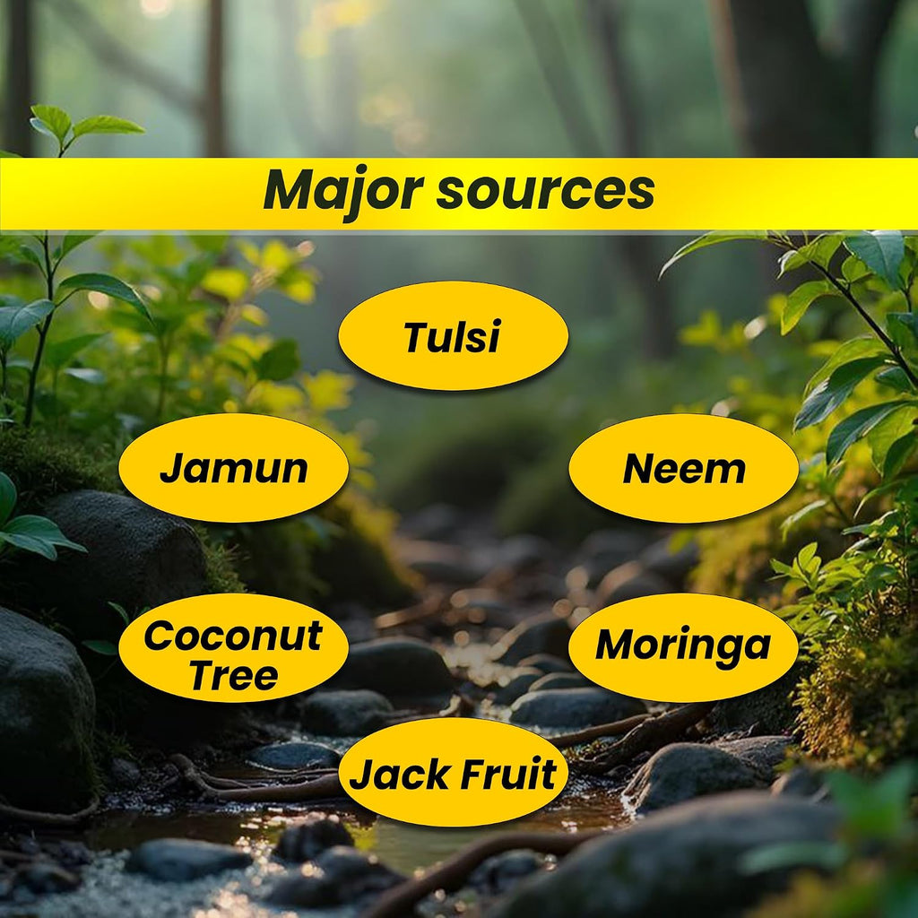 MARLSiGN | CHERUTHEN | Kerala Organic Stingless Honey From Western Ghats | Sourced From Wild Small Medicinal Plants | Mother Medicine | Small Bees| Pure Honey | (100g)